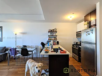 Rented by Rentopia