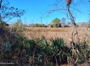 40 Alligator Creek Road, Merritt, NC 28556