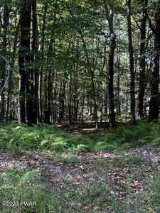 LOT 828 View Dr, Greentown, PA, 18426