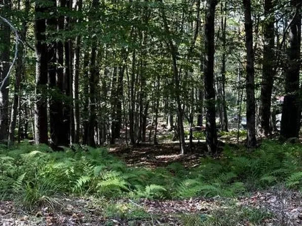 LOT 830 View Dr, Greentown, PA 18426