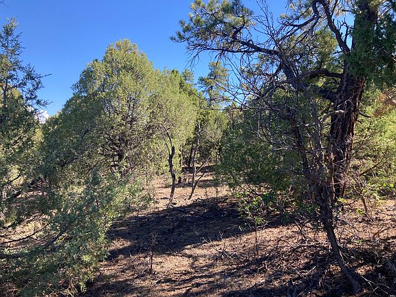 4th image of 1 Ponderosa