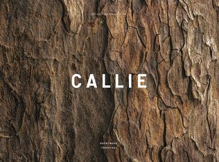25 Callie Ln LOT 25, Brentwood, TN 37027