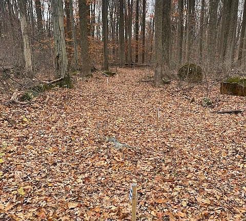 5th image of 0 Reed Ln