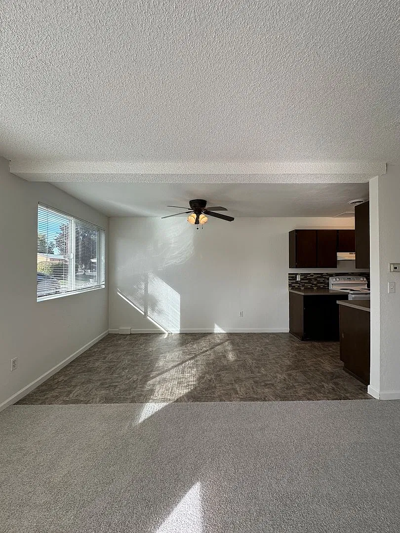 1000ca — Photo 3