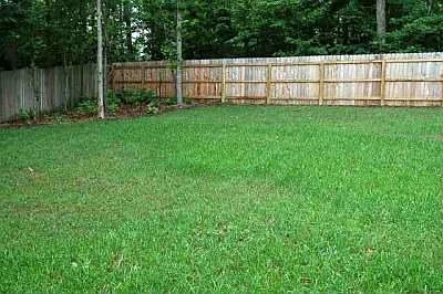 fenced back yard