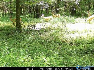 Thach Rd, Elkmont, AL 35620