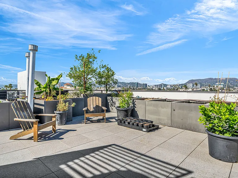 Rooftop Garden