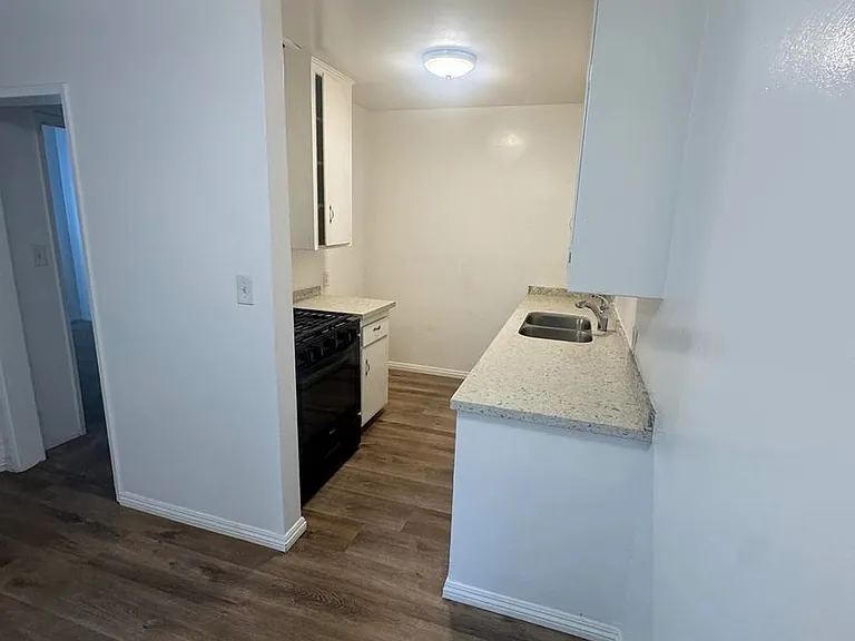 437-450 E Algrove St #4501 — Photo 4
