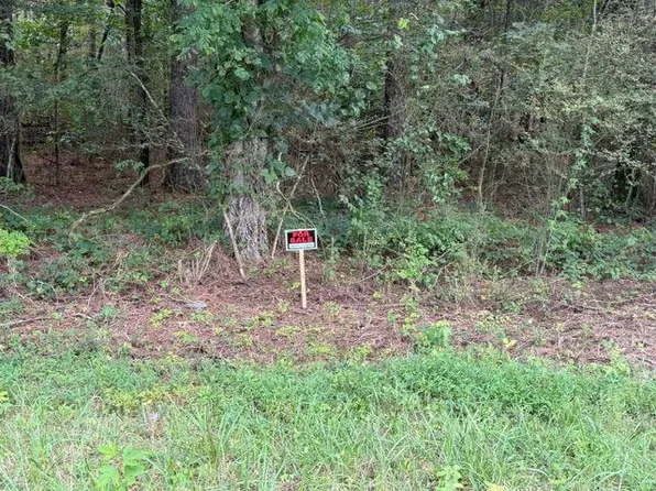 0 Iron Hill Rd Lot 4, Taylorsville, GA 30178