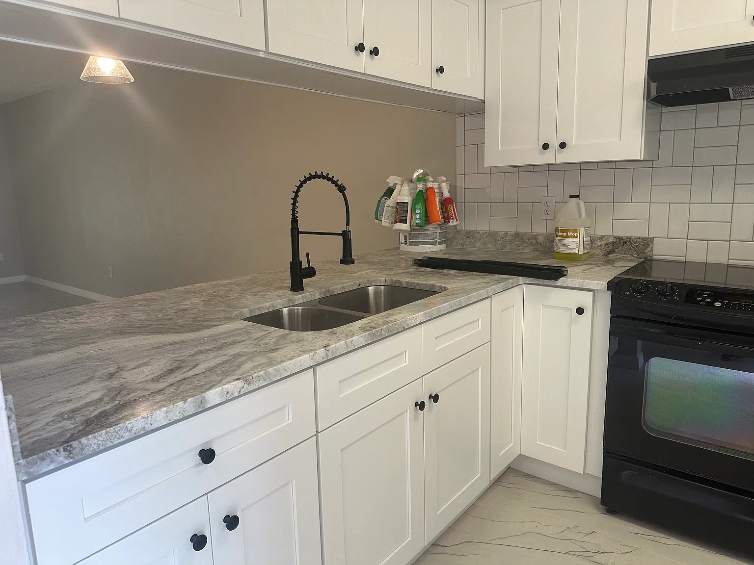 2 bed, 1000 sqft, $1,600 — Photo 4