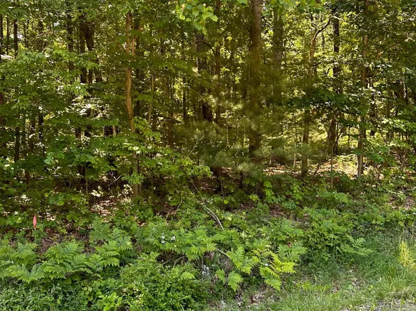 0 Kline Hollow Rd Lot 4, Liverpool, PA 17045
