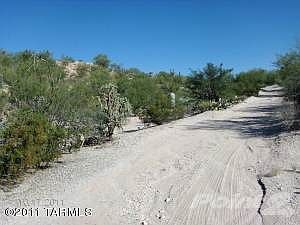 The road to paradise