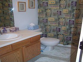 Master bath with jetted tub