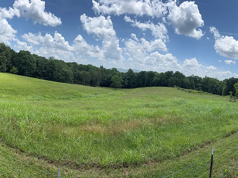 502 Murphy Ridge Rd — Photo 19