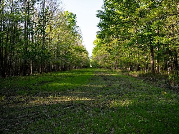 12th image of this home