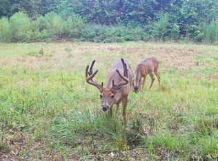 0 Hills And Hollows Hunt Clb, Vicksburg, MS 39180