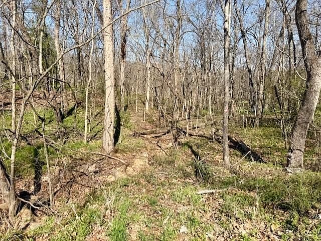 2nd image of 0 Powhatan Dr