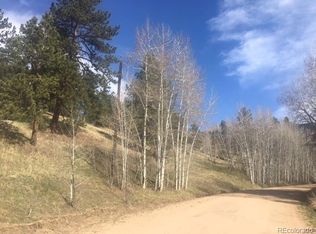 116 W Cline Dr, Shawnee, CO 80475