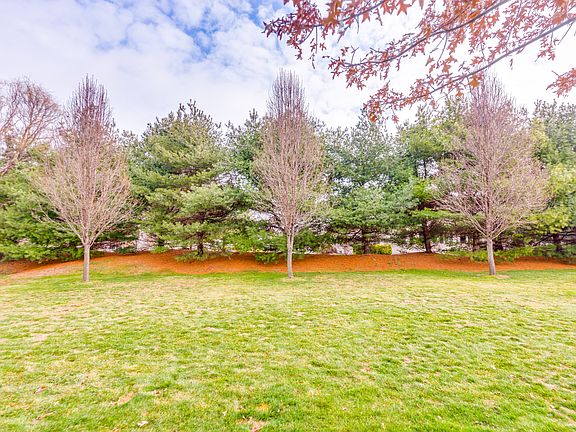 Tree lined back for privacy