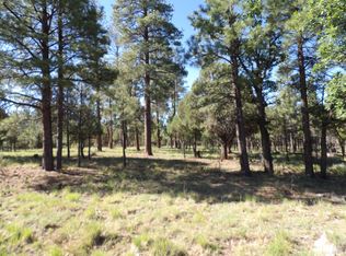 4510 Hackamore Way, Happy Jack, AZ 86024