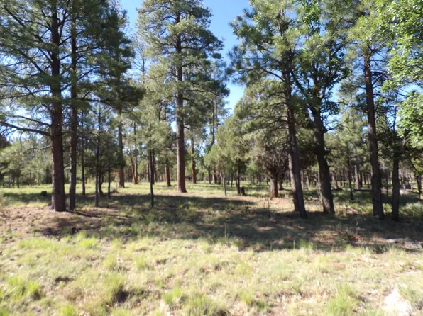 4510 Hackamore Way, Happy Jack, AZ 86024