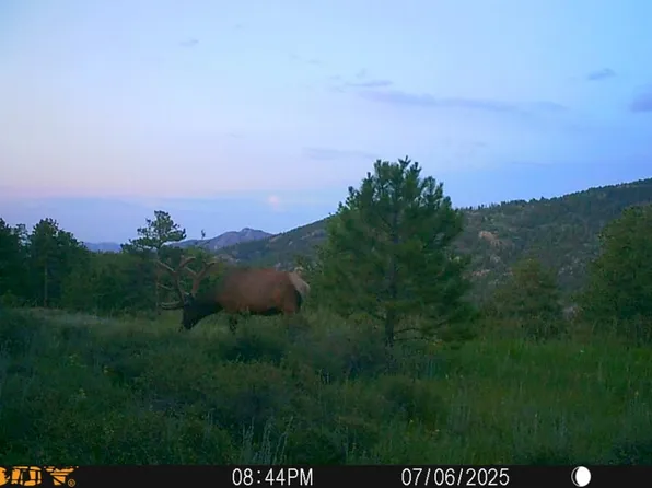 Soul Shine Rd, Drake, CO 80515