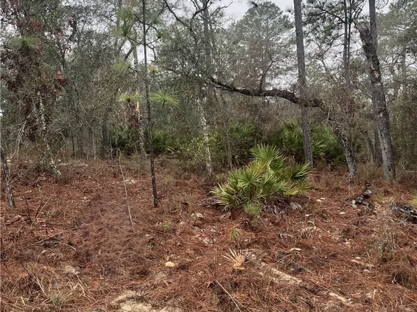 6692 N Airmont Dr, Citrus Springs, FL 34433