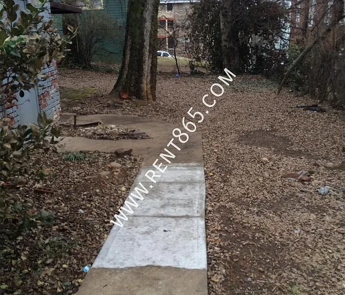1312 Laurel Ave #4 — Photo 13