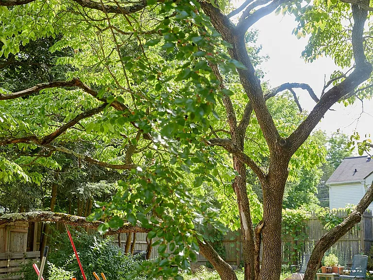 20 Millrock Rd — Photo 4