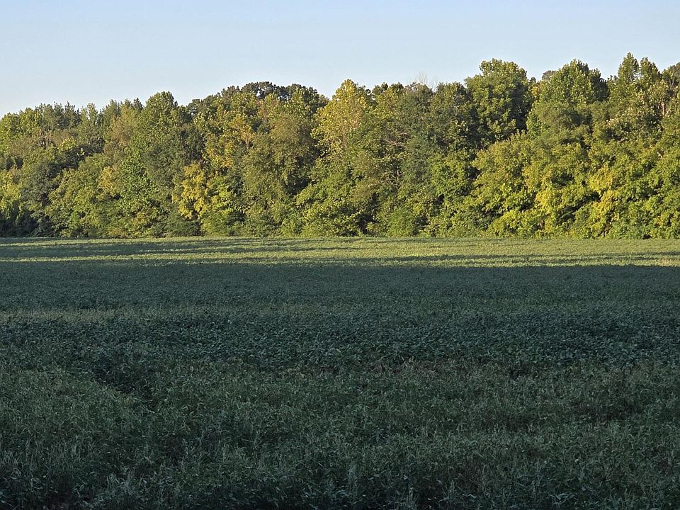 1st image of 459 Cotton Grove Rd
