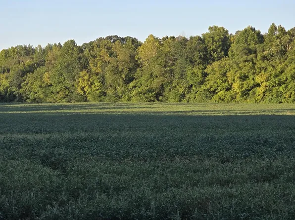 459 Cotton Grove Rd, Jackson, TN 38305