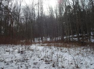 Finnerty Rd, Masonville, NY 13804