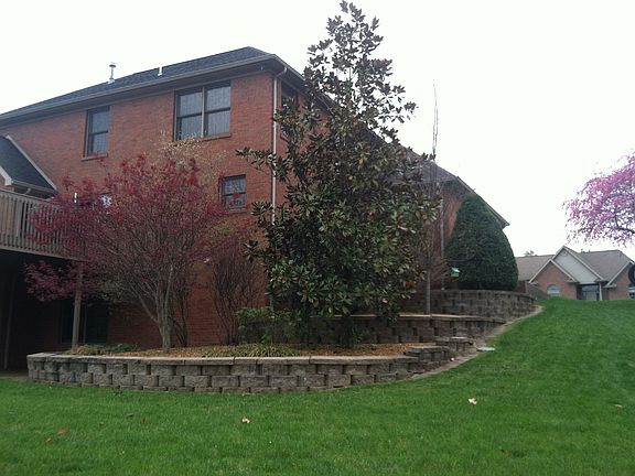 Landscaping/Back Yard