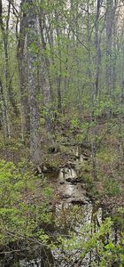 LOT 7 E Overlook Rd, Monterey, TN, 38574