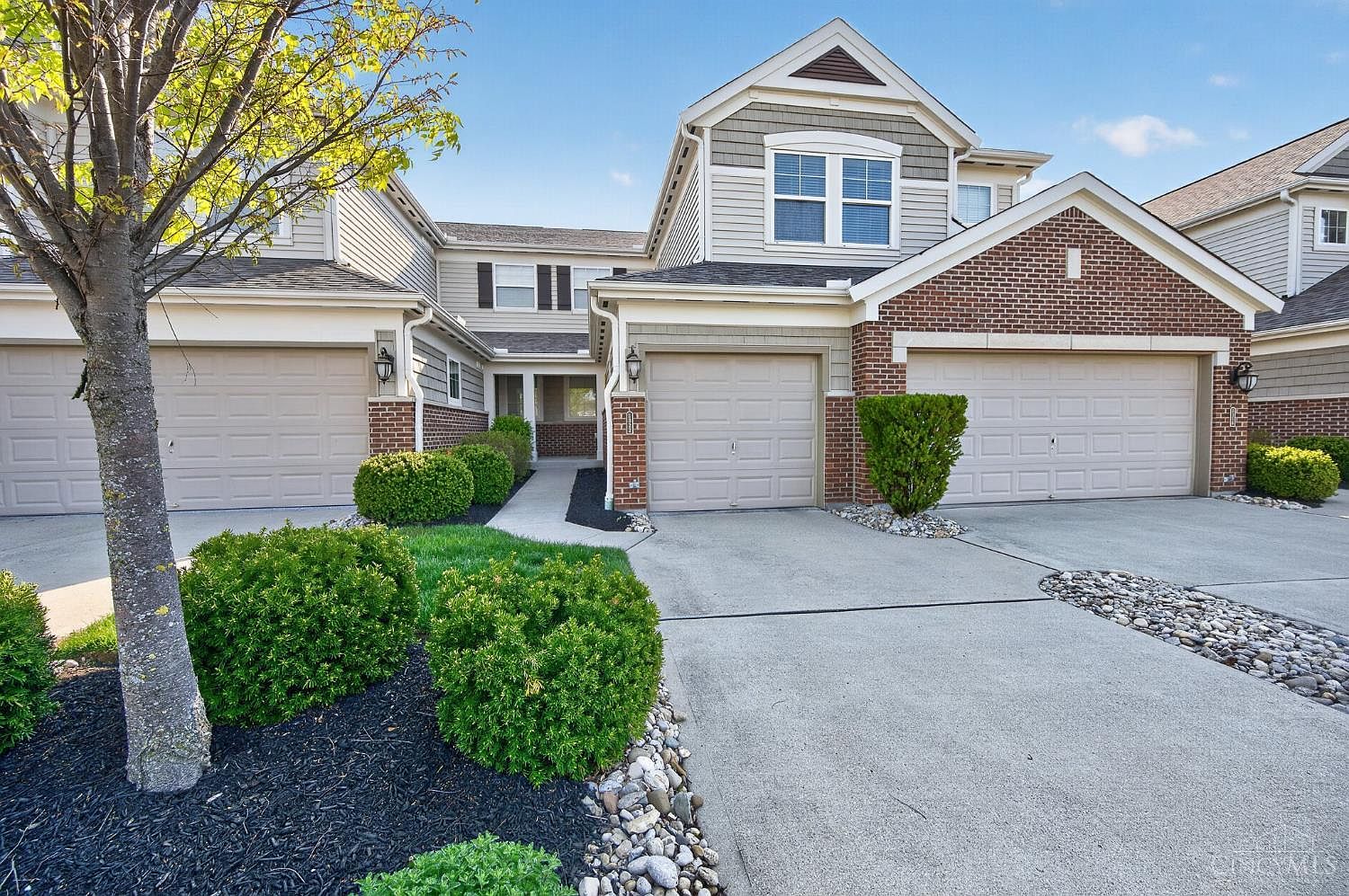 Ironwood Drive