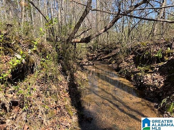 4th image of 825 County Road 79 Tract