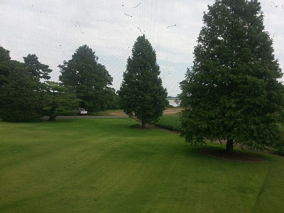 BEAUTIFUL FRONT YARD