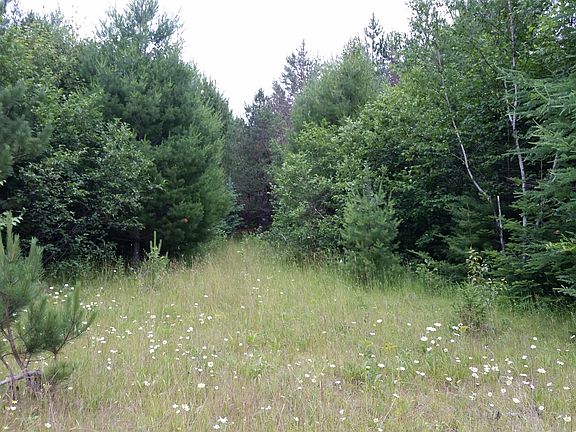 2nd image of 21703 County Road 447