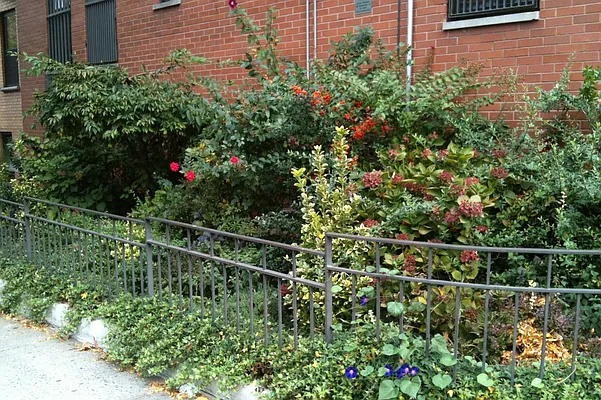 Sold by Corcoran | media 17