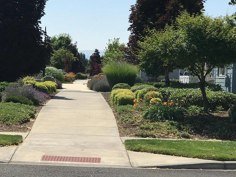 Sidewalk view