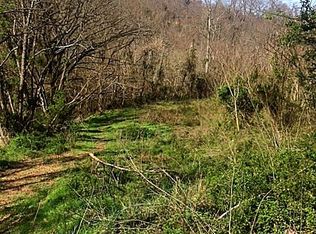 Red Bank Rd, Sevierville, TN 37876