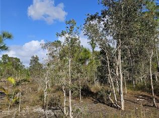 Godden Grove RD, FORT MYERS, FL 33913