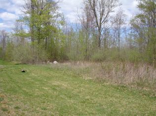 6750 Buck Run, Spruce, MI 48762