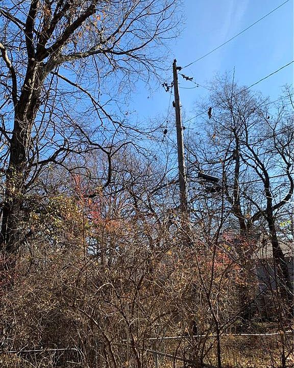 2nd image of 2601 Hagemann St