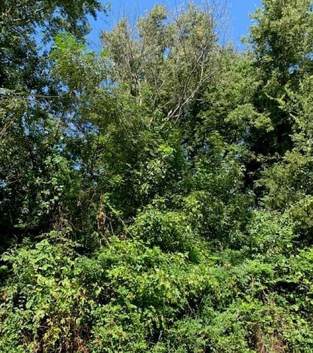 2nd image of 109 Pebblestone Dr