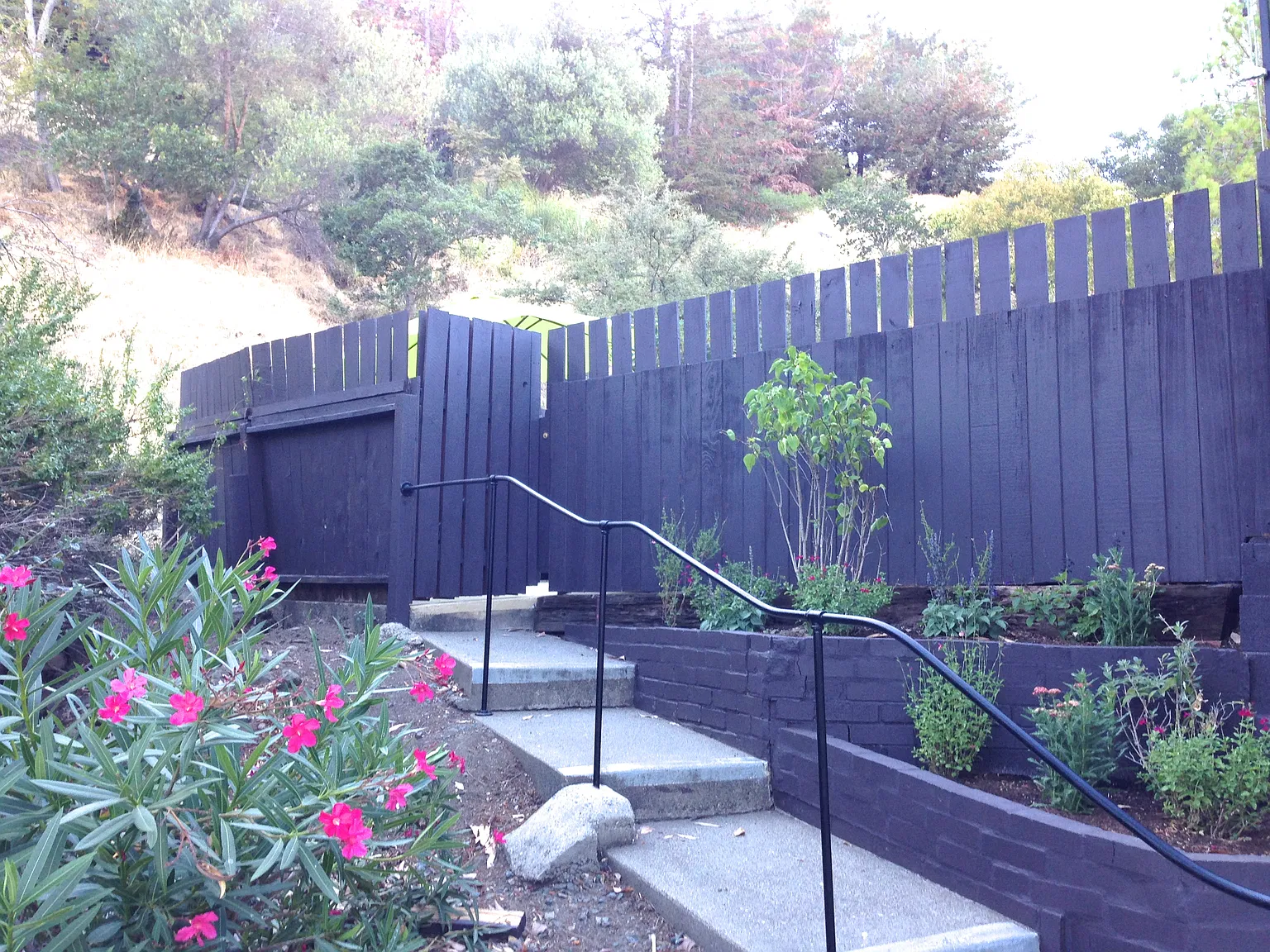 2 bed, 1000 sqft, $3,800 — Photo 3