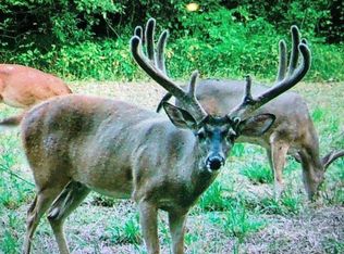 1 Coxs Ferry Rd, Bolton, MS 39041