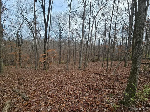 499 Sunset Echo Rd, Union, MO 63084