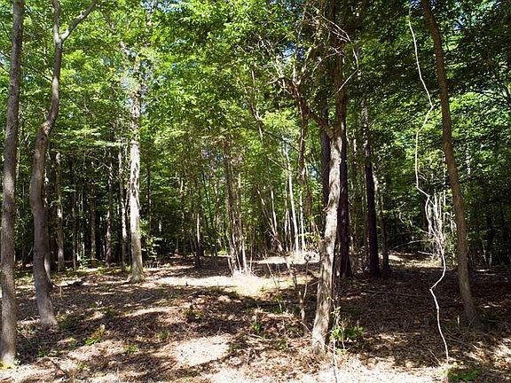 2nd image of Lot 7 See View Lane LOT 7