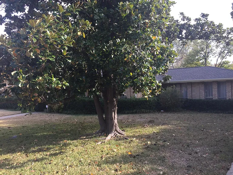 916 Sequoia Dr — Photo 1